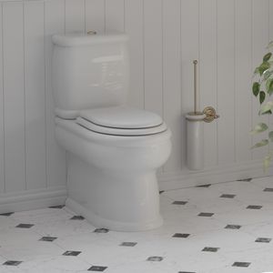 WC monobloc