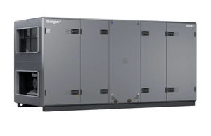 centrale de traitement d'air professionnel 1