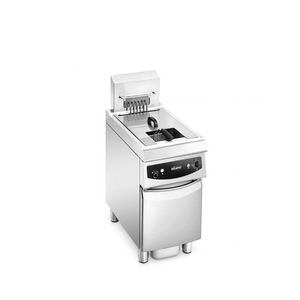 friteuse électrique / professionnelle