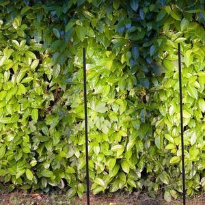 borne d'éclairage de jardin