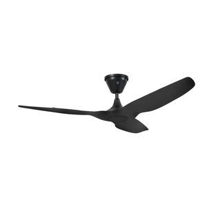 ventilateur de plafond de toiture 1