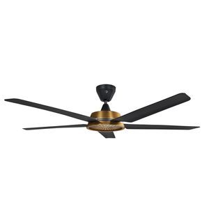 ventilateur de toiture 1
