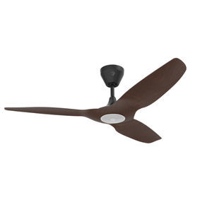 ventilateur de toiture 1