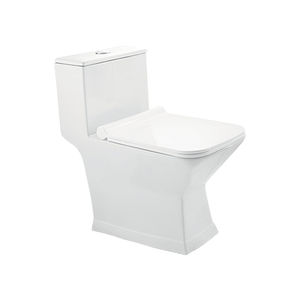 WC intelligent