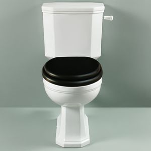 WC monobloc 1