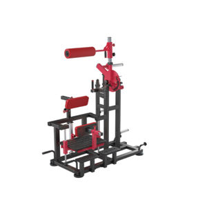 appareil de musculation extension du dos 1