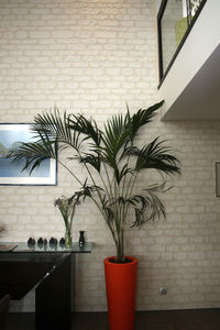 enduit décoratif