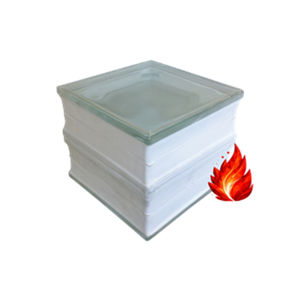 pavé en verre 1