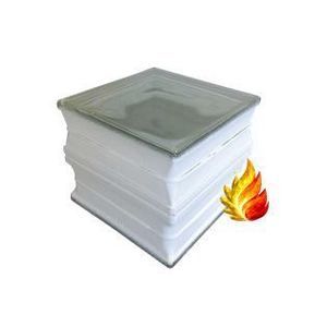 pavé en verre 1