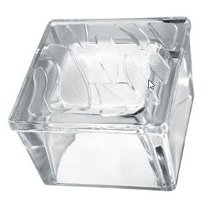 pavé en verre 1