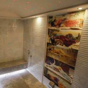 bain de vapeur avec douche intégrée 1