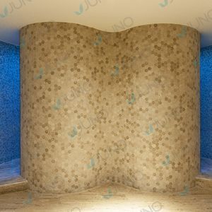 douche Vichy à vapeur 1