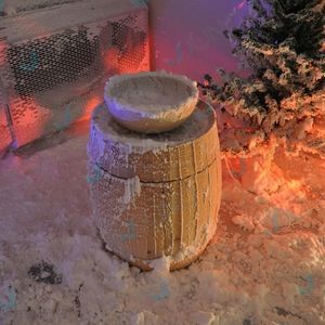 cabine de neige professionnelle 1