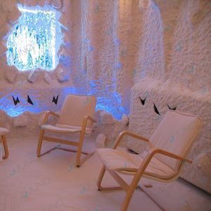 cabine de neige contract 1