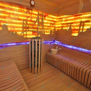 poêle de sauna à bois 1