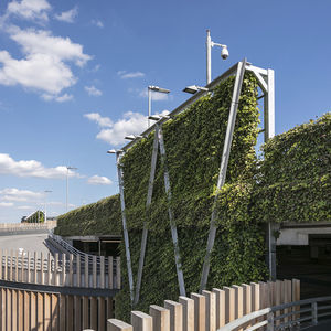 mur végétal en végétaux vivants 1