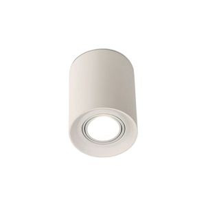 spot de plafond 1