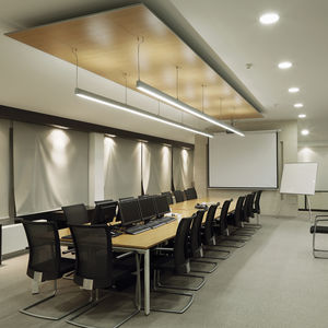 luminaire suspendu 1