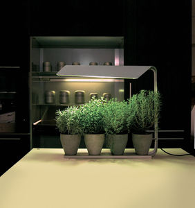 lampe de culture
