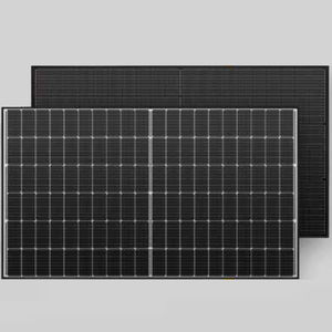 module solaire monocristallin