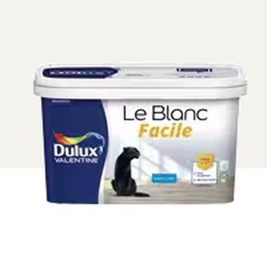 peinture décorative 1