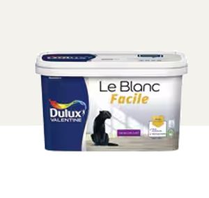 peinture veloutée 1