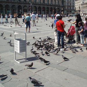 poubelle publique