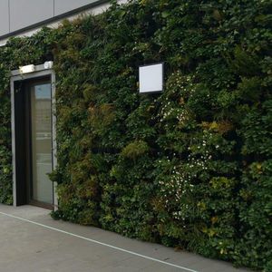 mur végétal stabilisé / en panneau modulaire / de jardin / avec structure modulaire