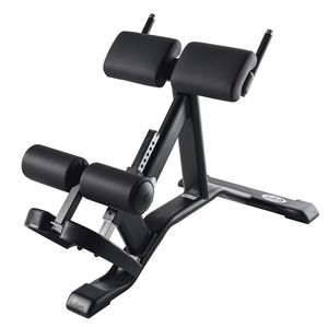 appareil de musculation extension du dos