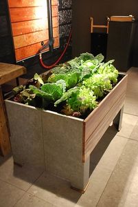 carré potager en tôle d'acier