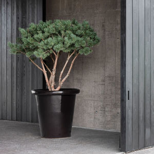 pot de jardin en terracotta 1