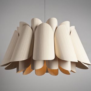 suspension 1