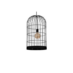 suspension 1