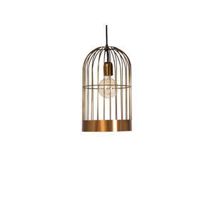 suspension 1