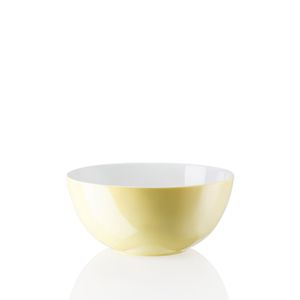 saladier en porcelaine