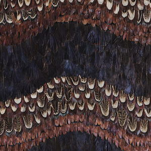 revêtement mural en plumes / résidentiel / pour intérieur