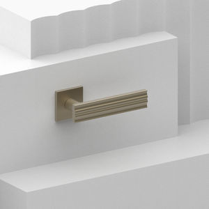 poignée pour porte