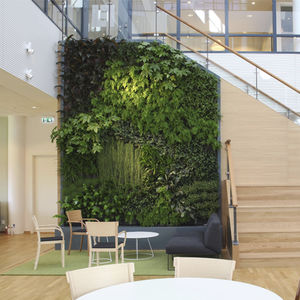 jardin vertical en végétaux vivants / d'intérieur