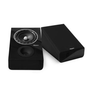 enceinte sur pied 1