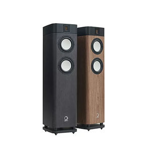 enceinte sur pied