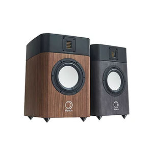 enceinte sur pied