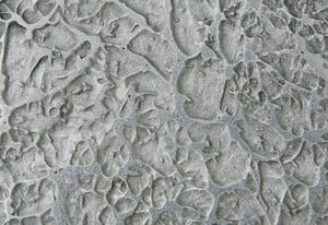 peinture décorative