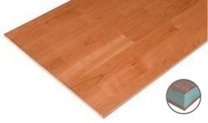 panneau sandwich pour plancher 1