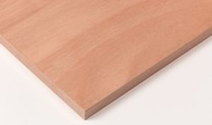 panneau contreplaqué de construction 1