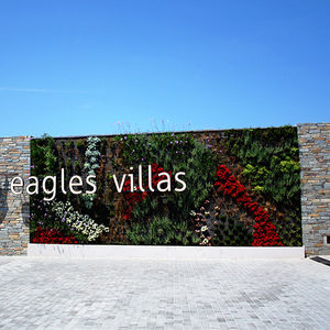mur végétal en végétaux vivants