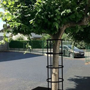 corset d'arbre en métal