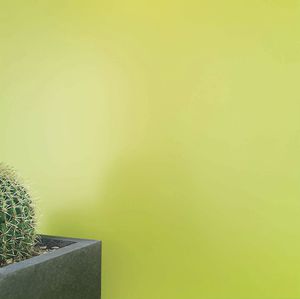 peinture décorative 1