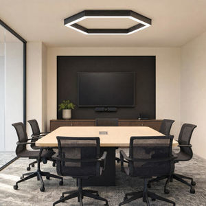 luminaire suspendu 1