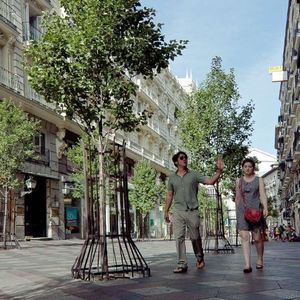 corset d'arbre en acier galvanisé