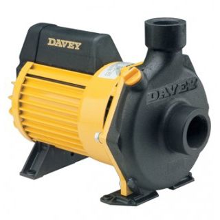 Pompe de piscine - DYNAFLO® : 62001 - DAVEY